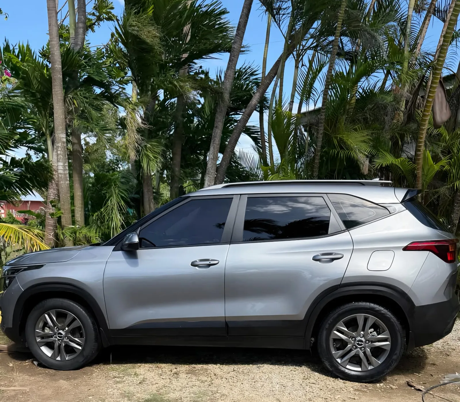 Silver SUV detailed by Alpha Auto Detailing
